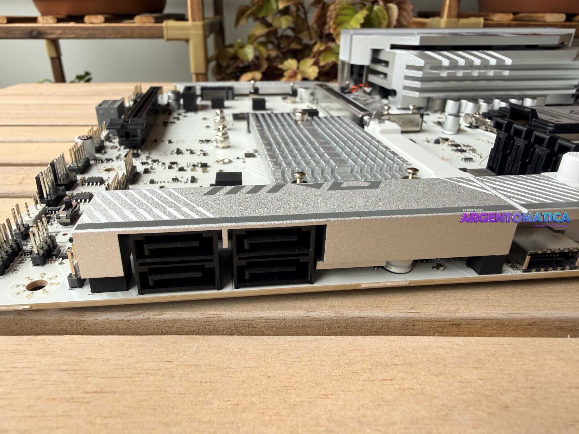 pixel-flex-IMG_9832 (1).jpeg