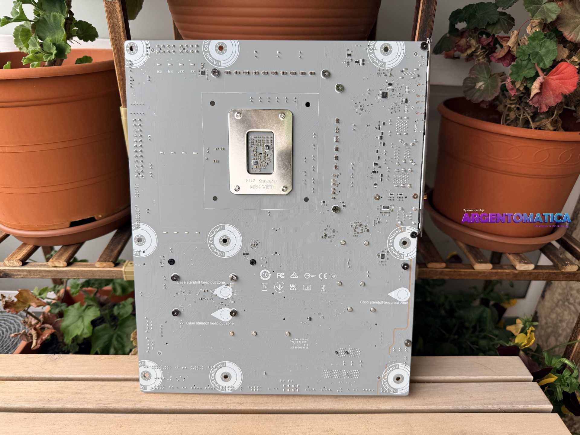 pixel-flex-IMG_9834 (1).jpeg