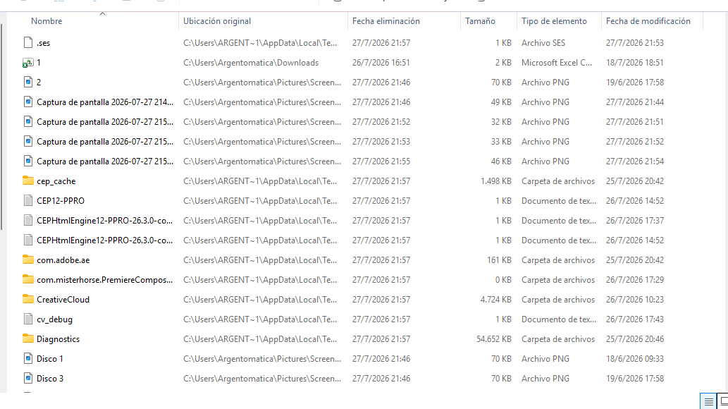 Papelera de reciclaje de Windows antes de vaciar los archivos eliminados